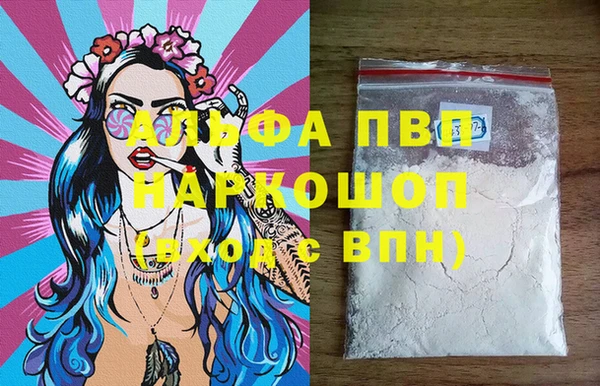 ешки Бородино