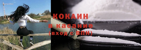 ешки Бородино