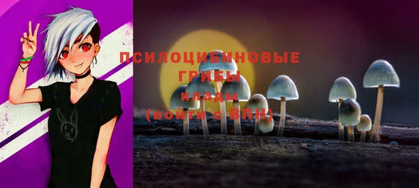 ешки Бородино