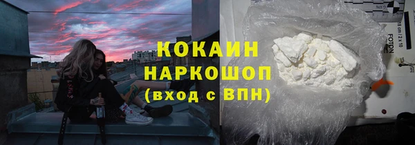 ешки Бородино