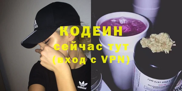 ешки Бородино