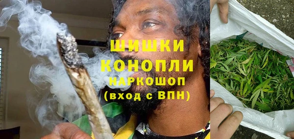 ешки Бородино
