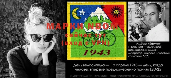 ешки Бородино