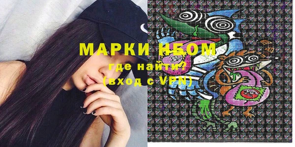 ешки Бородино