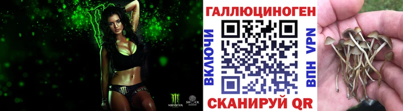 Купить закладки  Аша  Галлюциногенные грибы ЛСД 